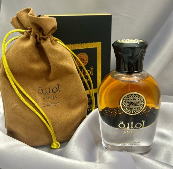 Amnia 100ml